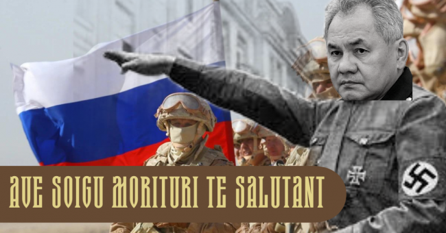 ave_soigu