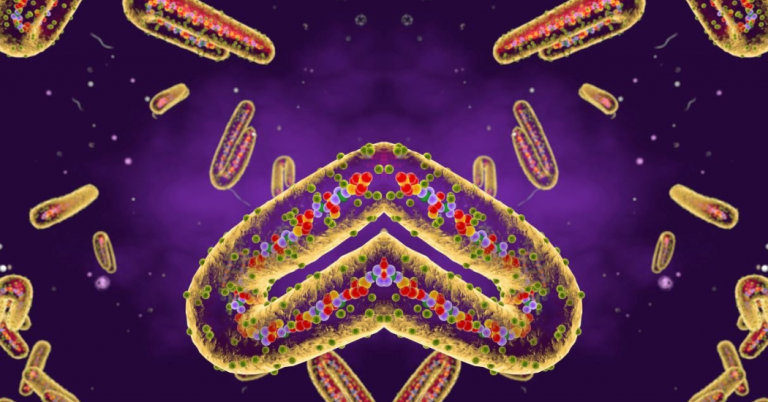 marburg_virus