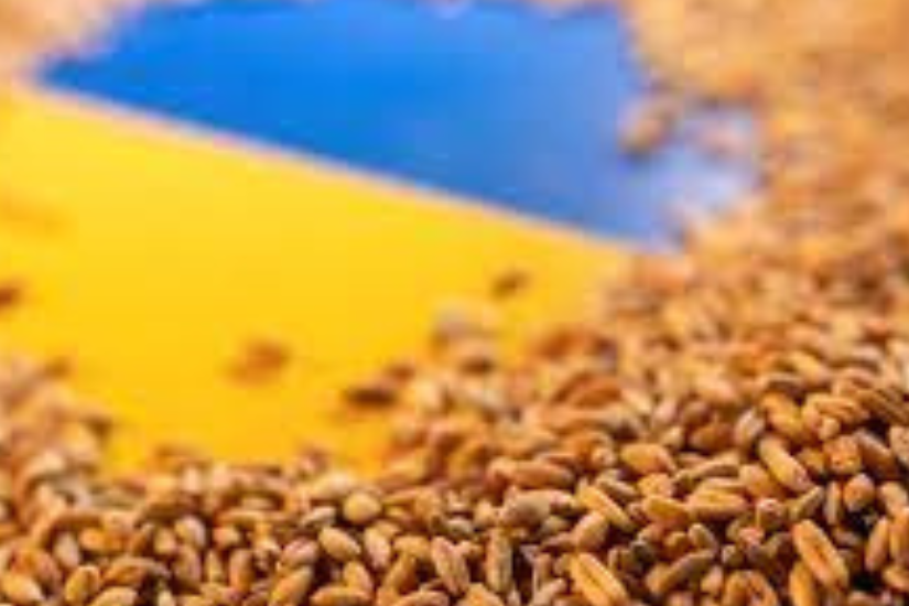 ukran_gabona