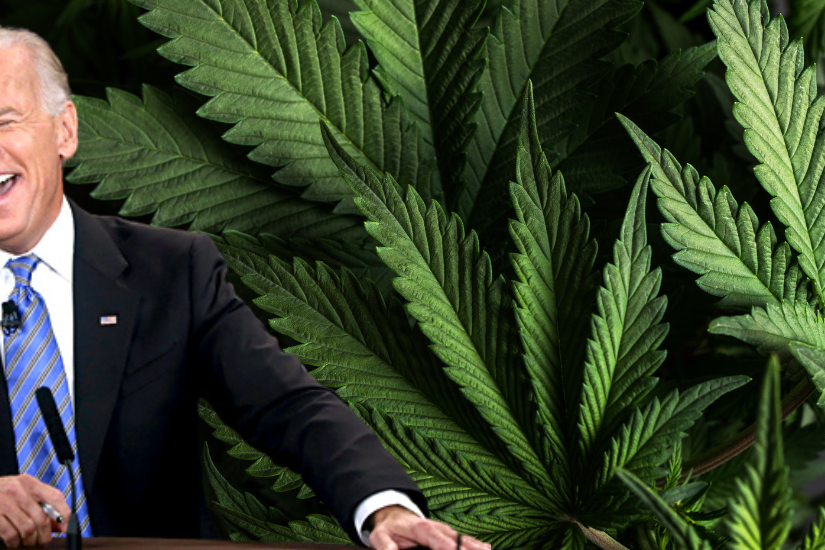 biden_marihuana