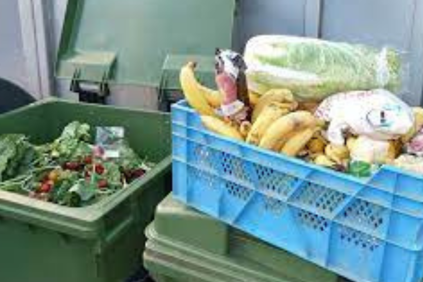 elelmiszer_kaja_pazarlas