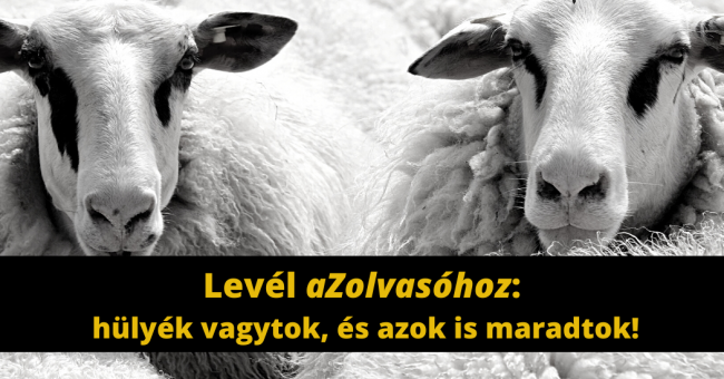 Levél aZolvasóhoz hülyék vagytok, és azok is maradtok!