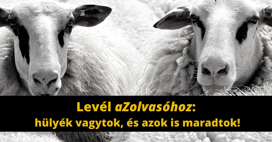 Levél aZolvasóhoz hülyék vagytok, és azok is maradtok!