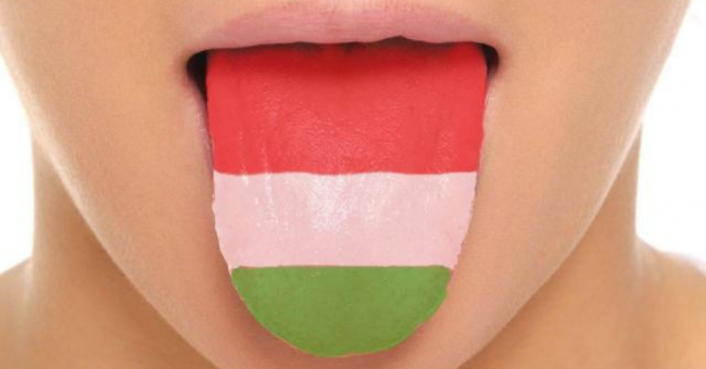 magyar_nyelv