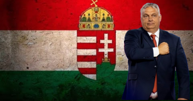 Névtelen terv (40)