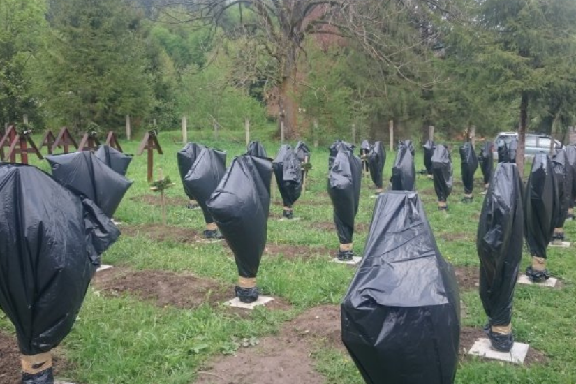 nem-vagyunk-vesztesek-3