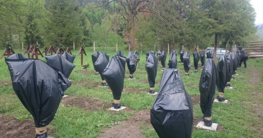 nem-vagyunk-vesztesek-3