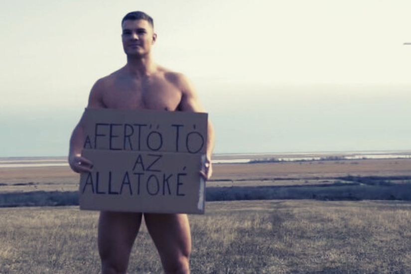 Névtelen terv (11) pumped_gabo