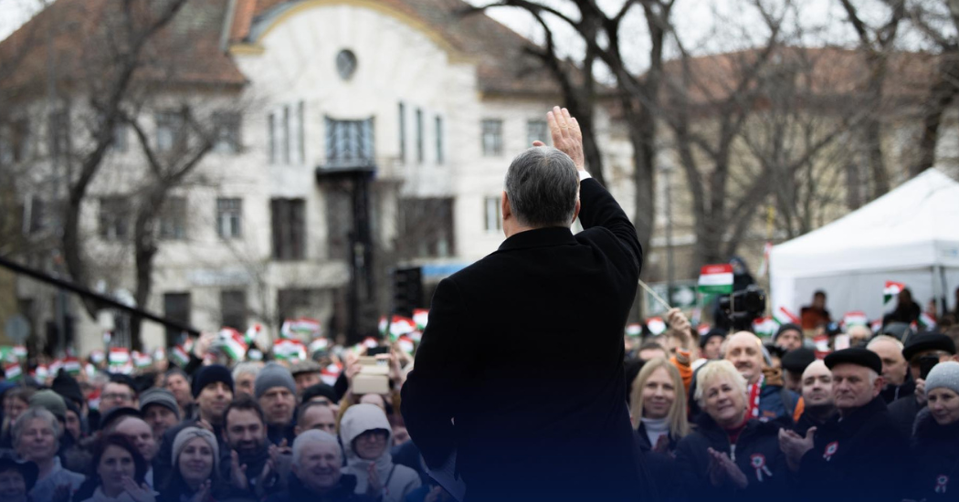 Névtelen terv (71)