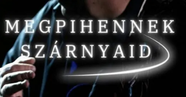 megpihennek_szarnyaid