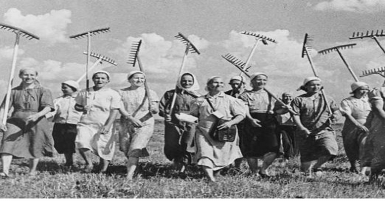 parasztasszonyok_illu