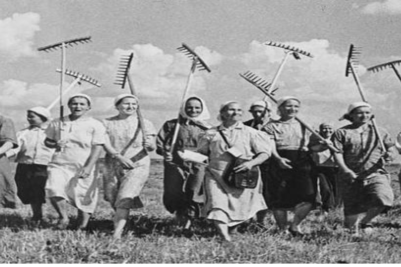 parasztasszonyok_illu