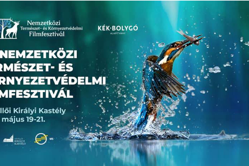 kornyezetved_filmfeszt