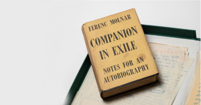 molnar_ferenc_kezirat