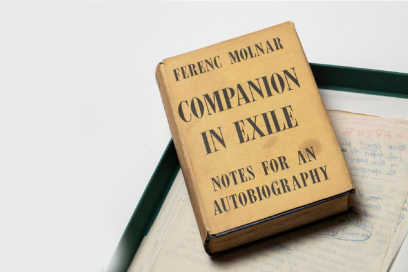 molnar_ferenc_kezirat