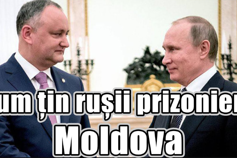 zaiafet_moldova_fogoly