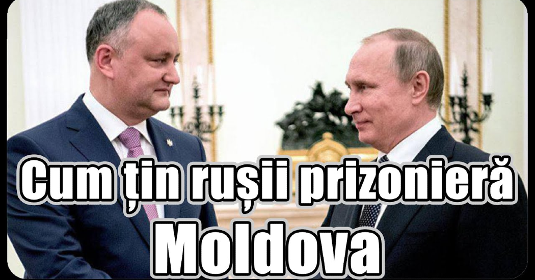 zaiafet_moldova_fogoly