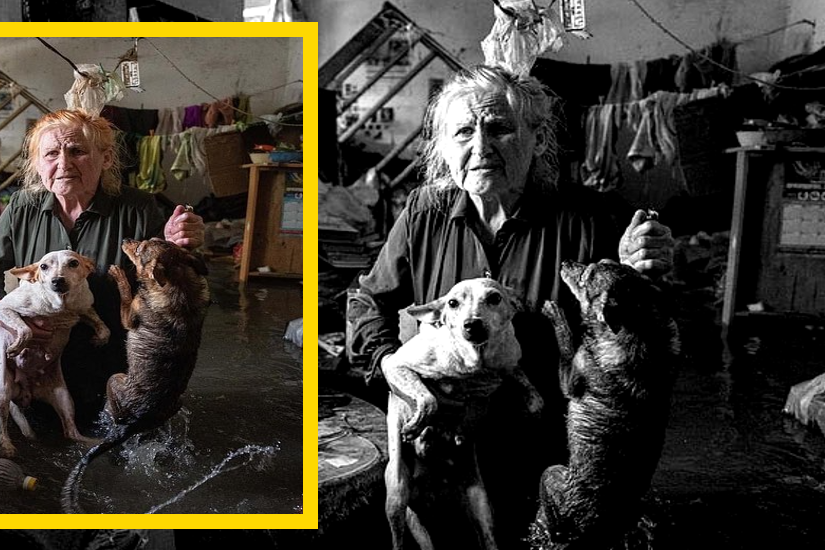 herszon_khalivka_gat