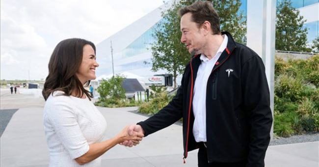 noivak_katalin_elon_musk