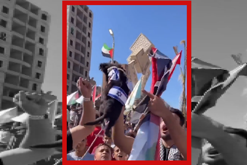 allatkinzas_palesztintunci