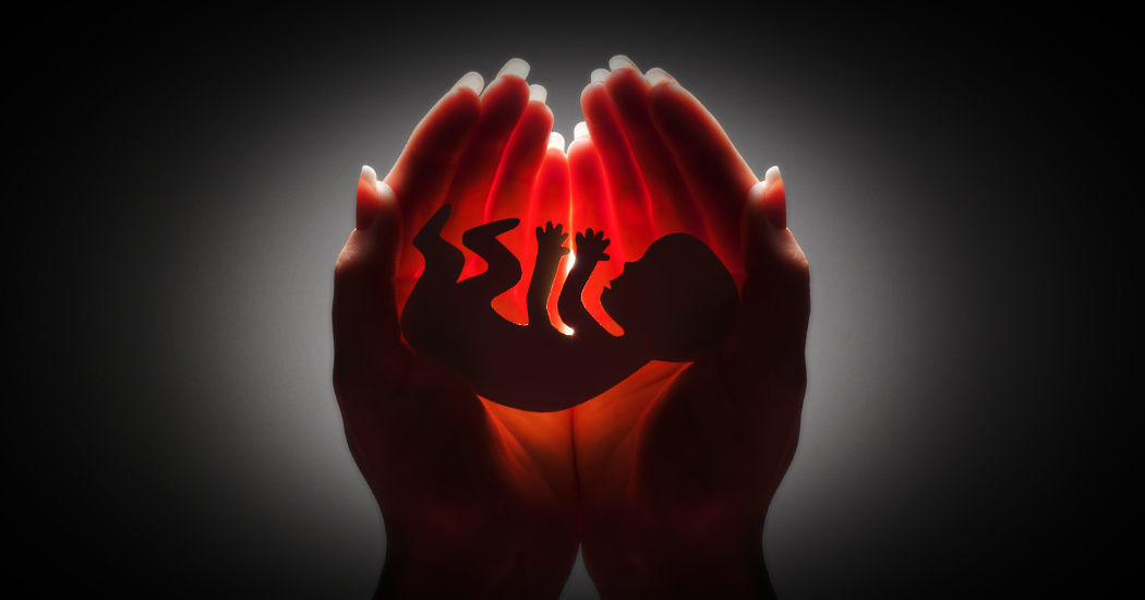 abortusz_1_ill