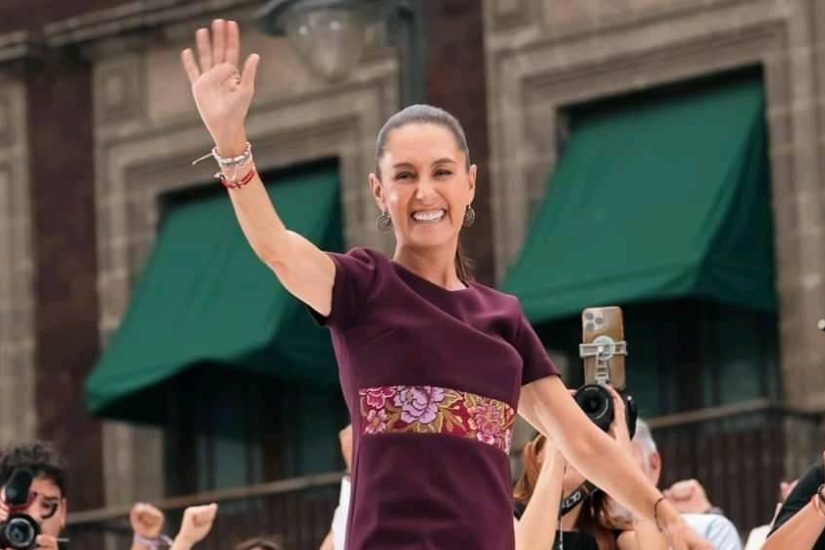 claudia_scheinbaum_illu_face