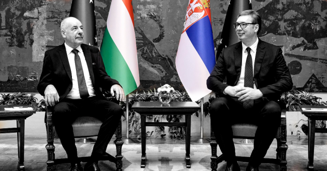 sulyok_vucic_illu