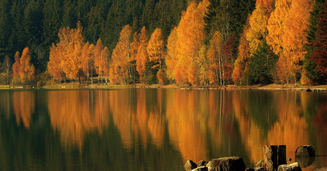 szent_anna_to_illu_face