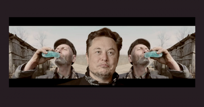 musk_vaslui