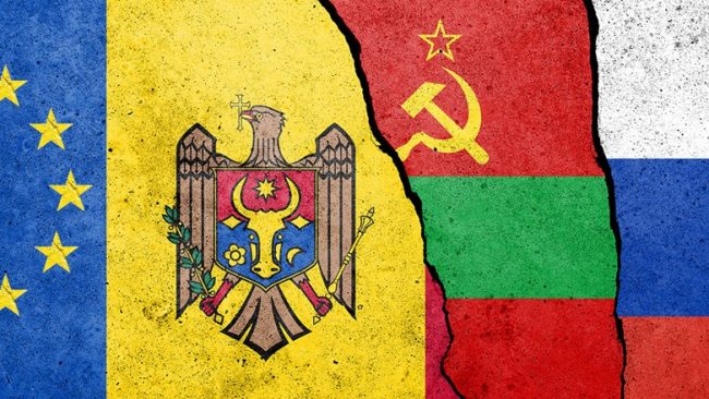 20241014-shutterstock_2482932815-image-03